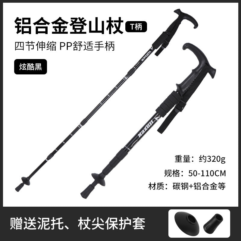 hiking pole style 1