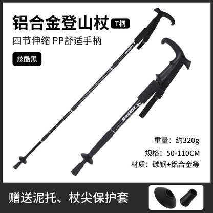 hiking pole style 1