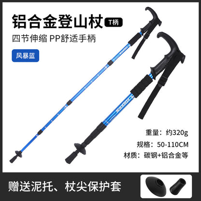 hiking pole style 1