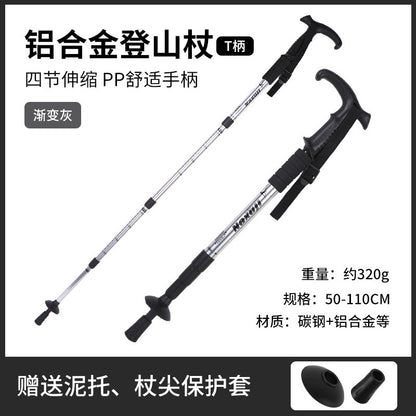 hiking pole style 1