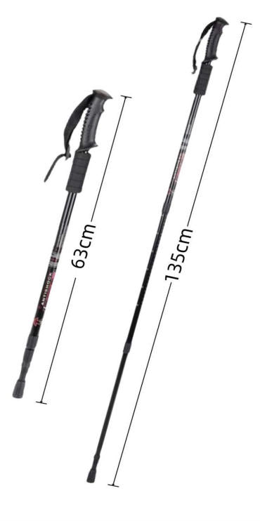 hiking pole style 2