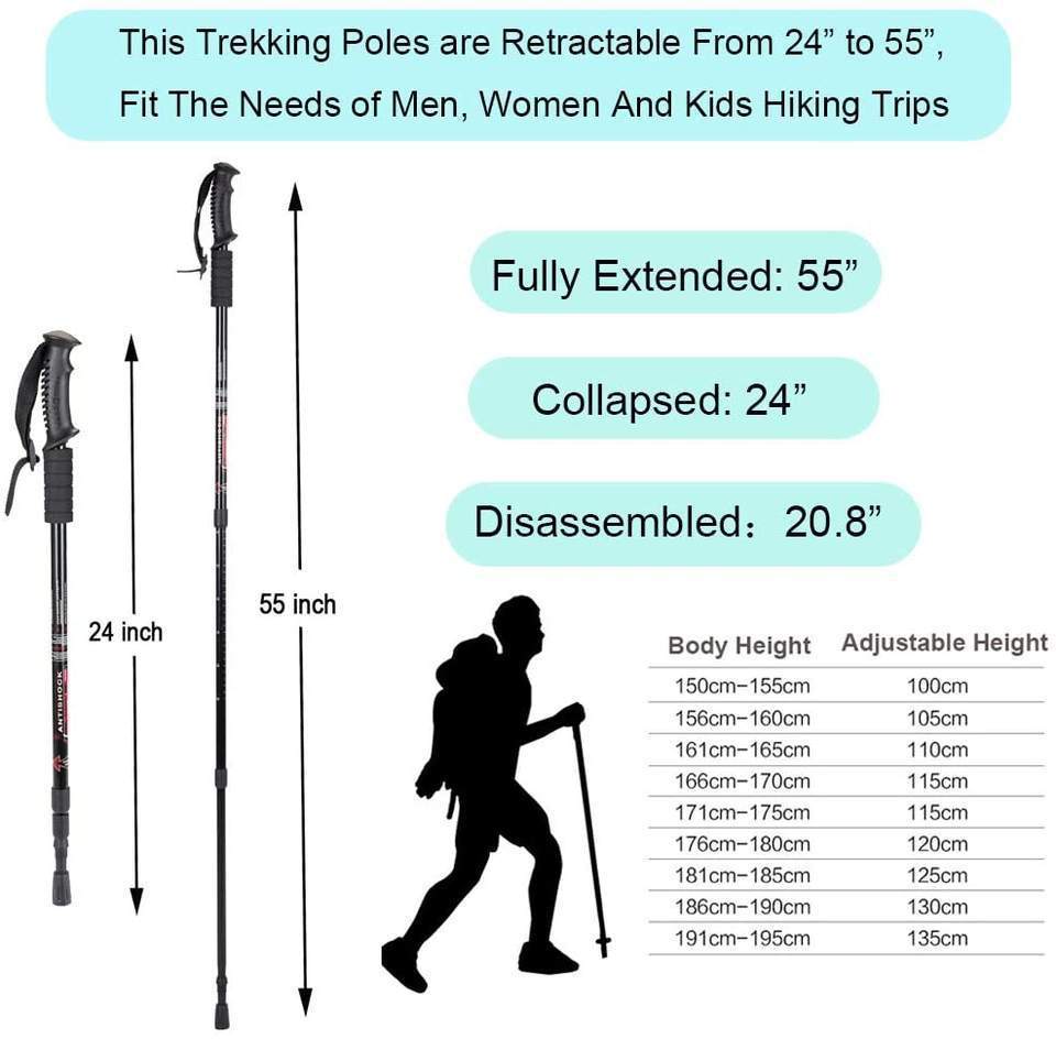 hiking pole style 3