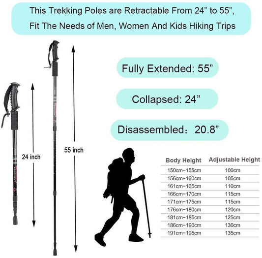 hiking pole style 3