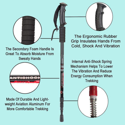 hiking pole style 3