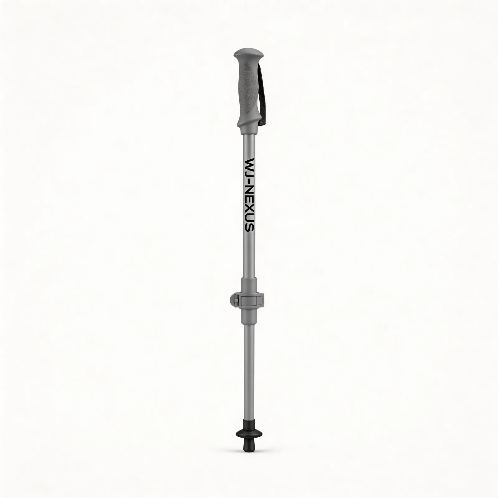 Trekking pole variant 1