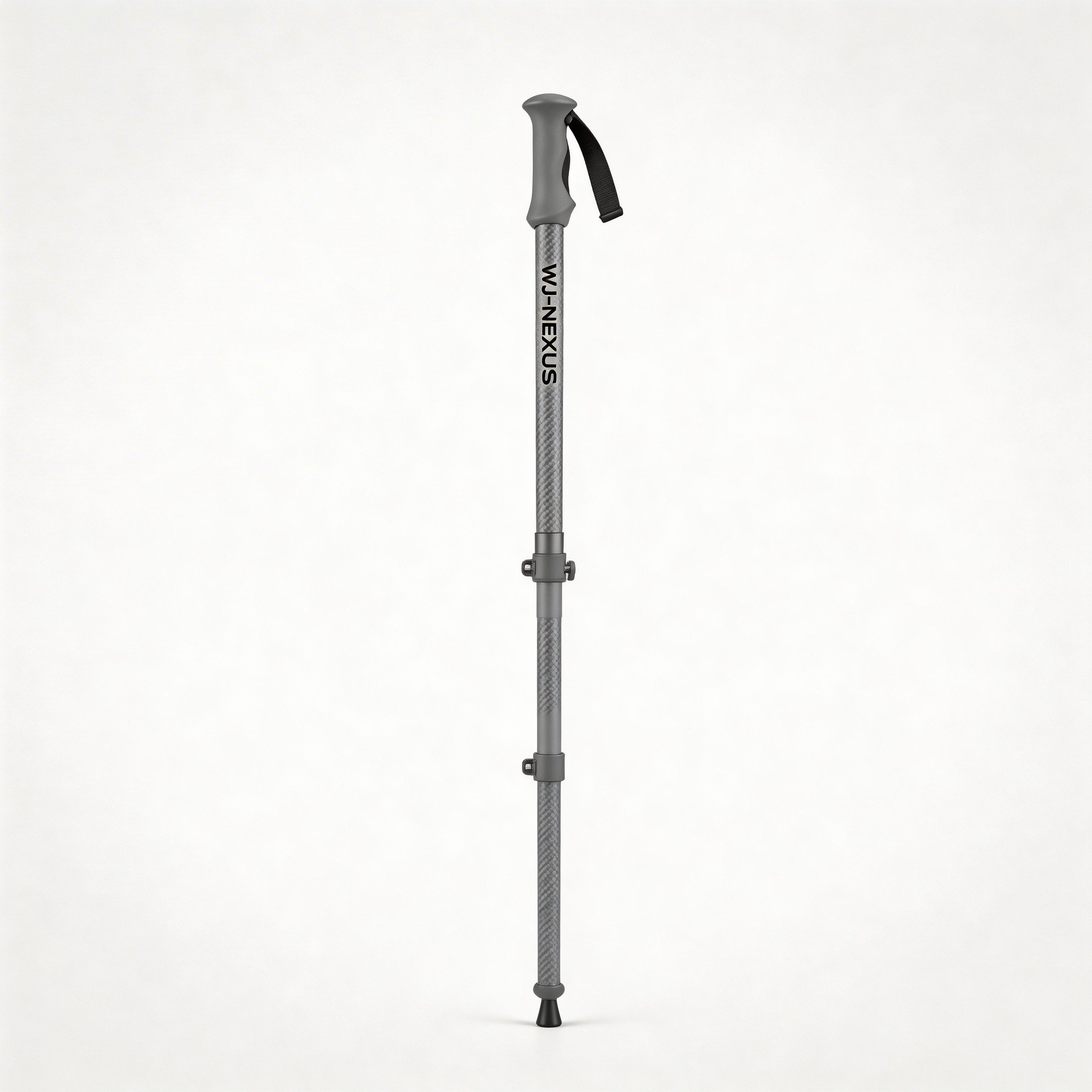 Trekking pole variant 2