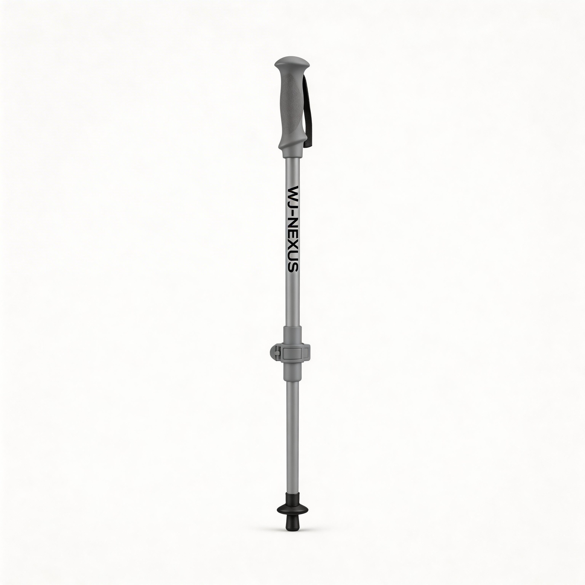 Trekking pole variant 1